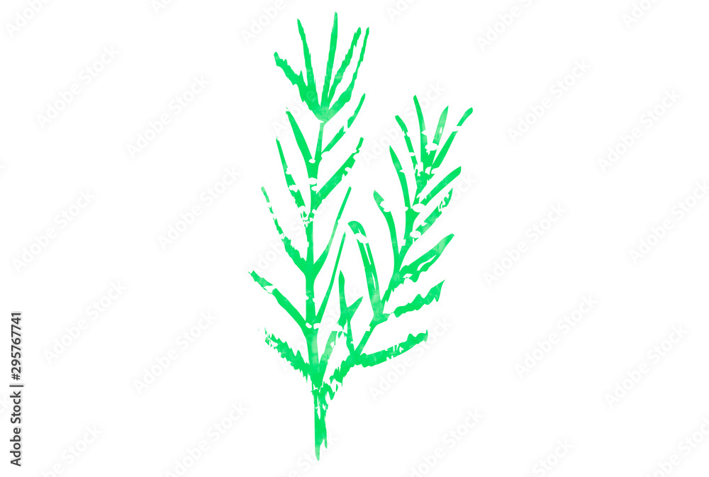 Green branch isolated on white background Green branch isolated on white background