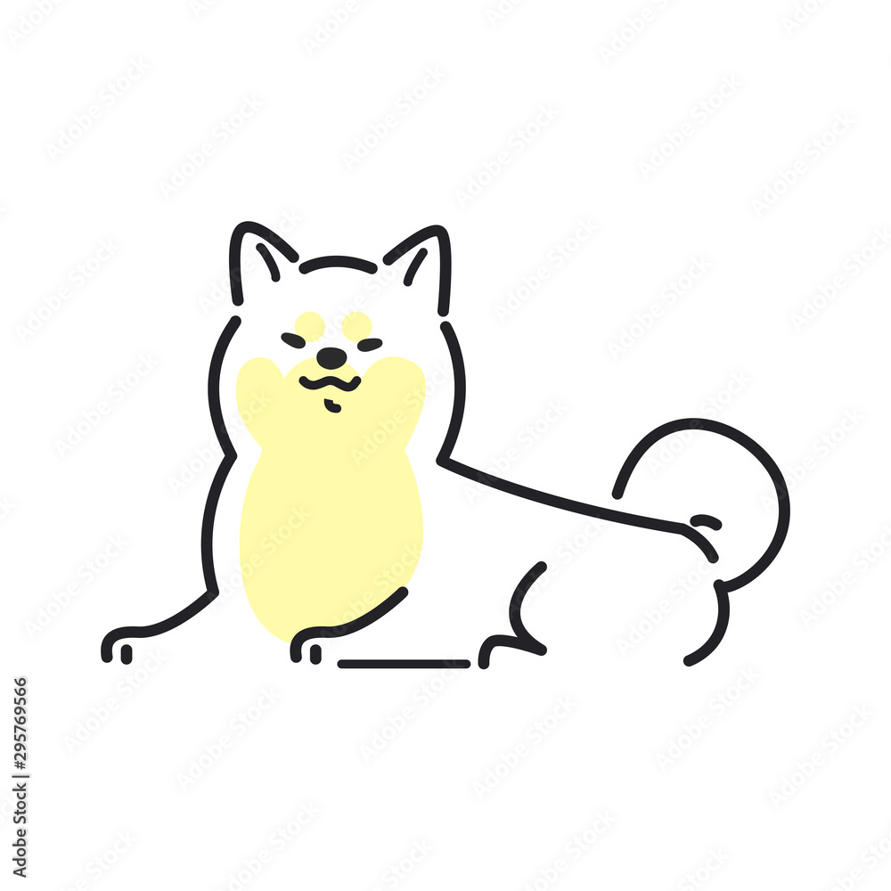 犬 ポーズ 表情 1匹 フセ 柴犬 犬 ポーズ 表情 1匹 フセ 柴犬