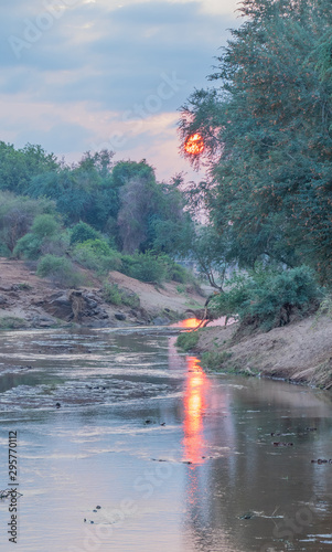 Sunrise over the Luvuvhu river in Pafuri in the Kruger National Park in South Africa image with copy space photo