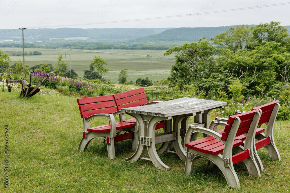 Fototapeta premium travel in Japan