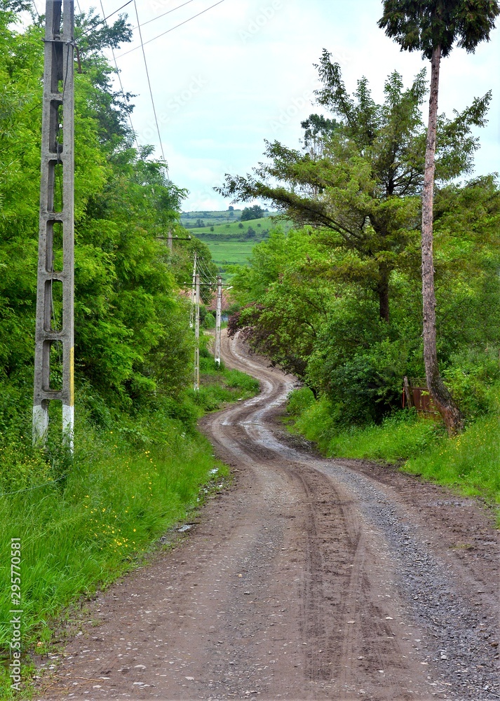 a dirt road through a village in Romania