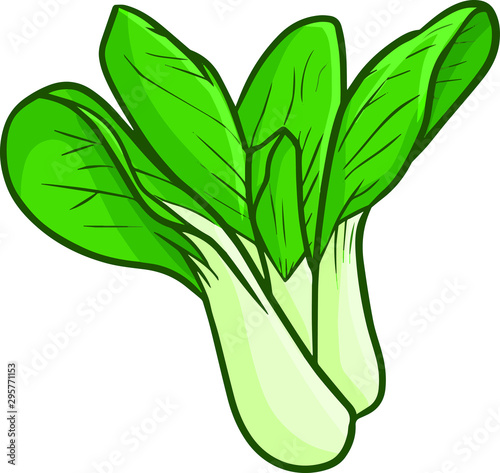 Cute and funny fresh bok choy