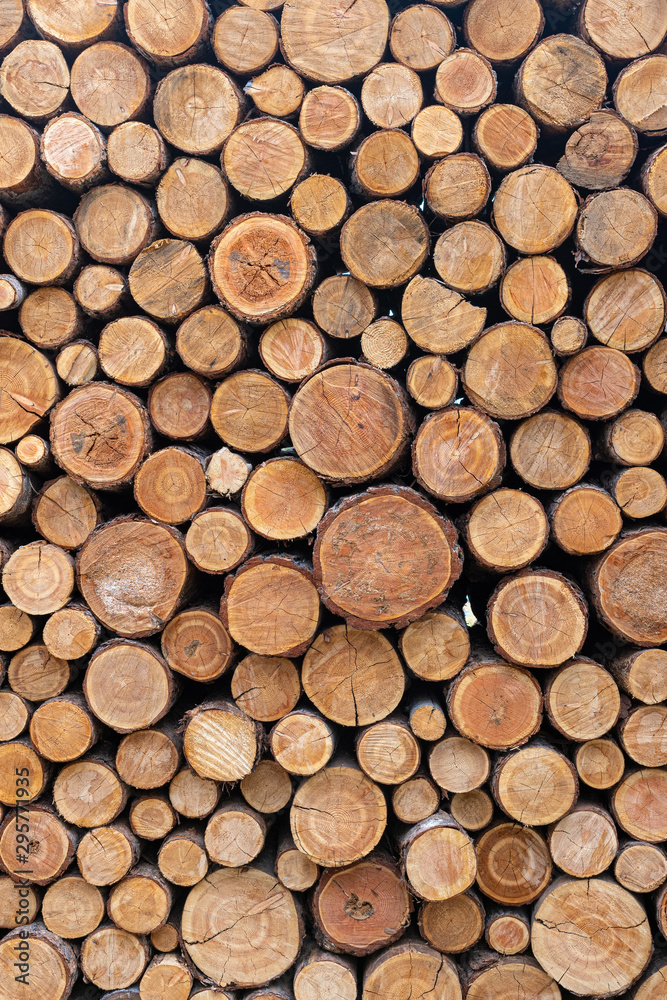 Stacked Wood Logs Pattern Background Stacked Wood Logs Pattern Background