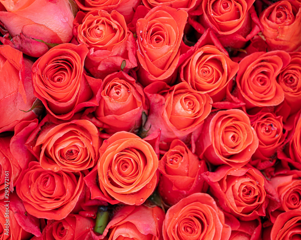 bouquet of roses background. bouquet of roses background.