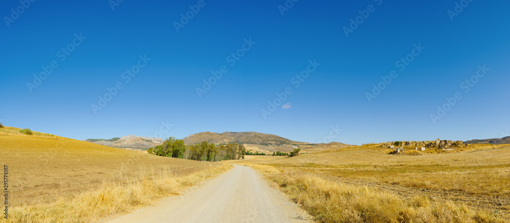 Mountain landscape. A country road in a harvested autumn field.