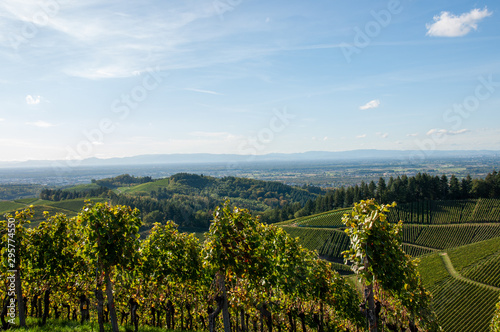 Blick von Schloss Staufenberg
