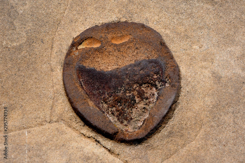 Face, Iron oxide concretion in Cliff House Sandstone, Mesa Verde National Park, Colordo photo