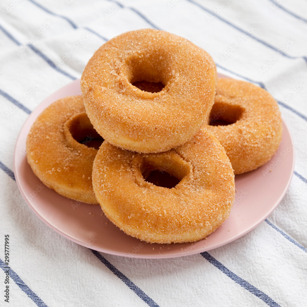 Homemade autumn apple-cinnamon donuts on a pink plate, side view. Closeup.