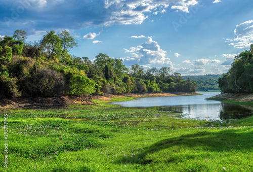 Photos crocodile lake in Ankarafantsika national park, rainforest with tropical climate