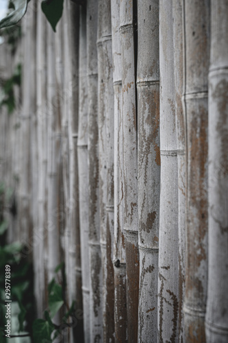 Bambus Hintergrund mit verwitterter Optik und Blatt Akzenten © Tobi