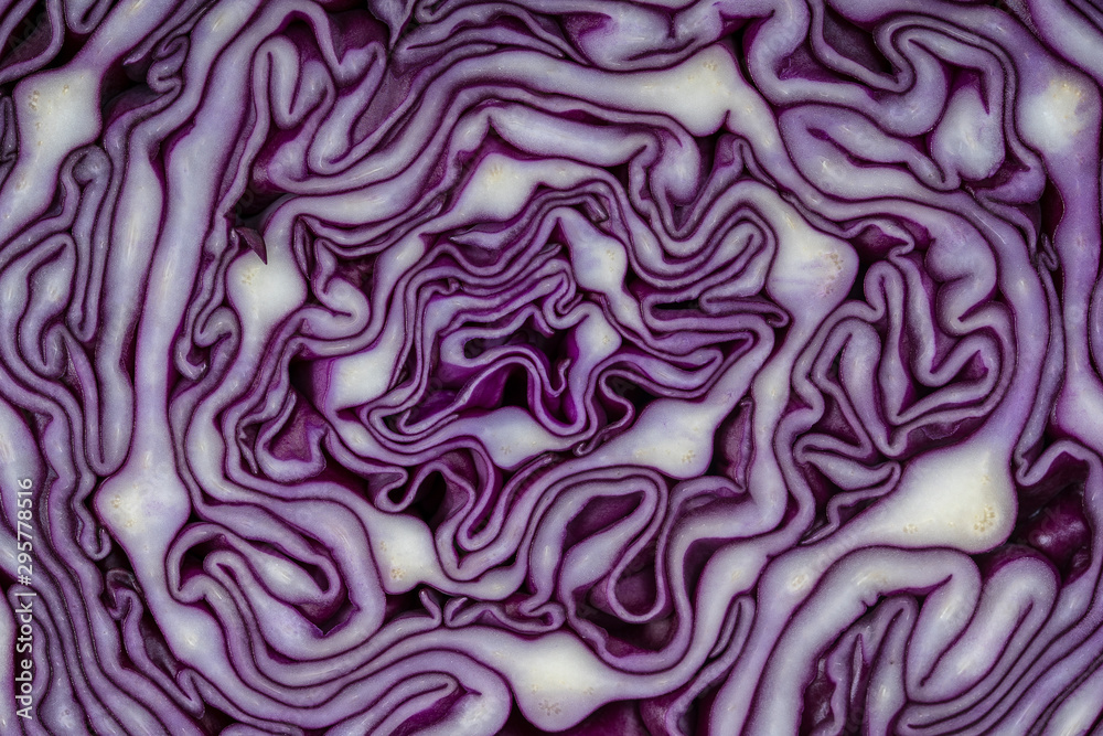 Background of the blue cabbage in the cut. Close up, top view. Texture raw purple cabbage Background of the blue cabbage in the cut. Close up, top view. Texture raw purple cabbage