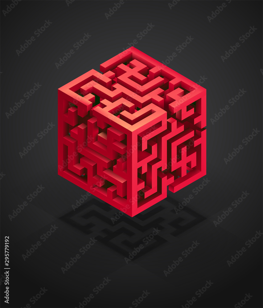 Fototapeta premium vector volumetric maze, search for solutions and yourself. mind games concept