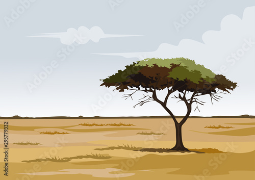 savana on africa for background and image illustartion