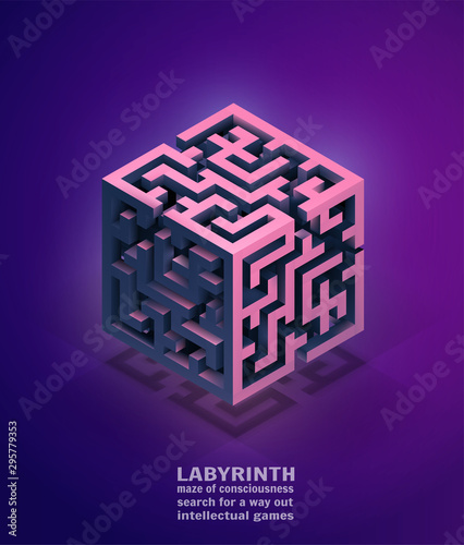 vector volumetric maze, search for solutions and yourself. mind games concept