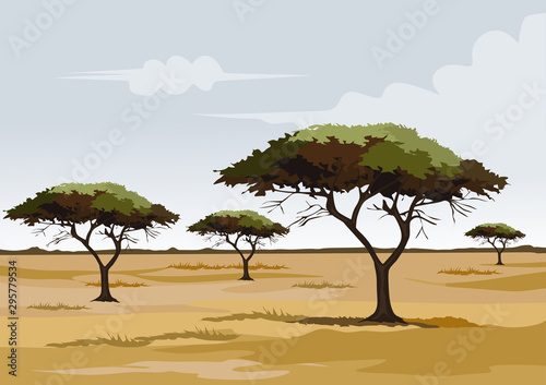 savana on africa for background and image illustartion