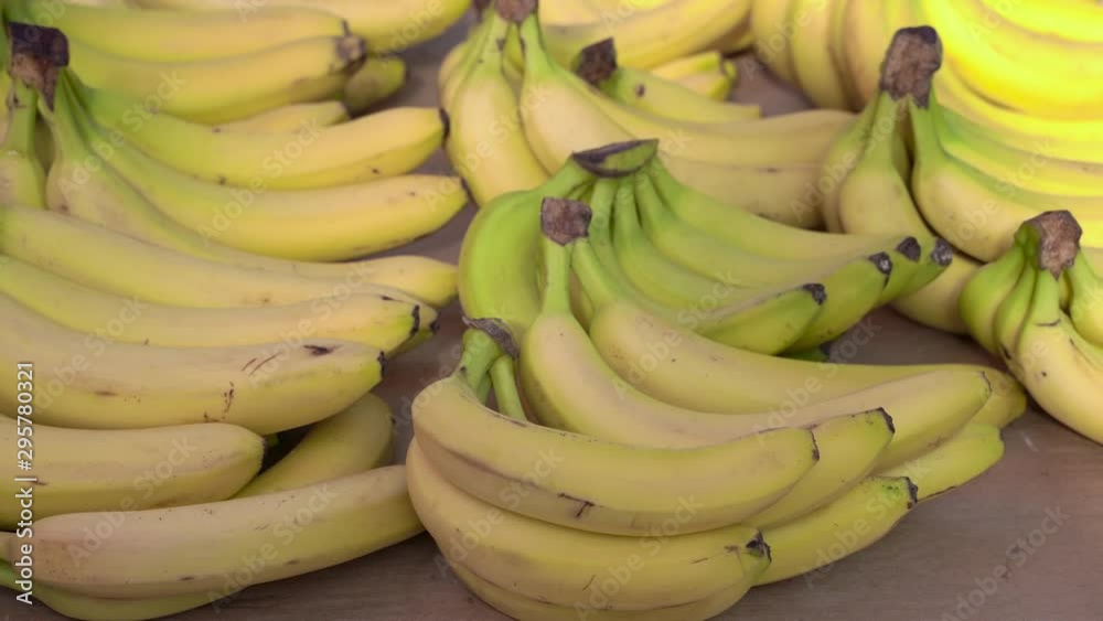 female hand chooses bananas in the market female hand chooses bananas in the market