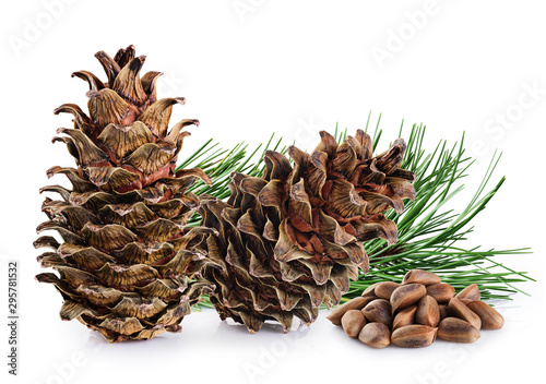 Cedar cones with branch and nuts on a white background.