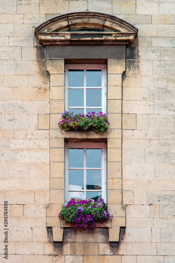 Two windows with flowers