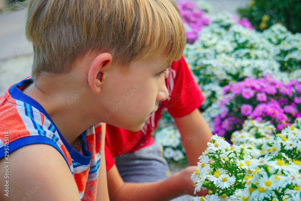 Boy sniffing flowers in a park in a flower garden Boy sniffing flowers in a park in a flower garden