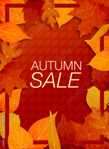 Autumn sale background layout decorate with leaves for shopping sale or promo poster and frame leaflet or web banner. Vector illustration template.