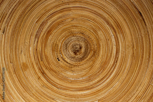 Fototapeta Naklejka Na Ścianę i Meble -  Cross section of wood trunk background. Surface of wooden plate pattern.