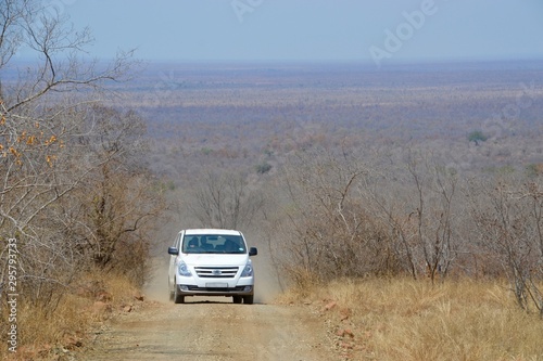 Self drive minivan vehicle driving up a gravel dirt road in Kruger National Park, South Africa, with wilderness bushveld view stretching to the horizon in the background