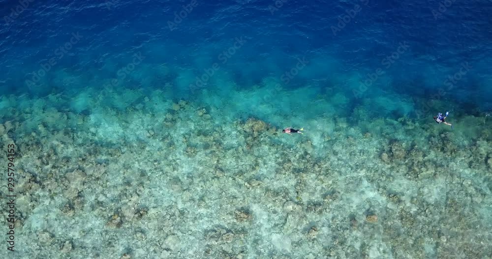 look down view of divers diving in a coral reef part of the ocean . look down view of divers diving in a coral reef part of the ocean .