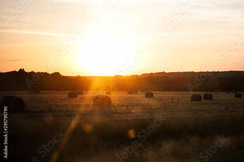 hay rolled up in stacks lies on a field in sunset light, harvesting