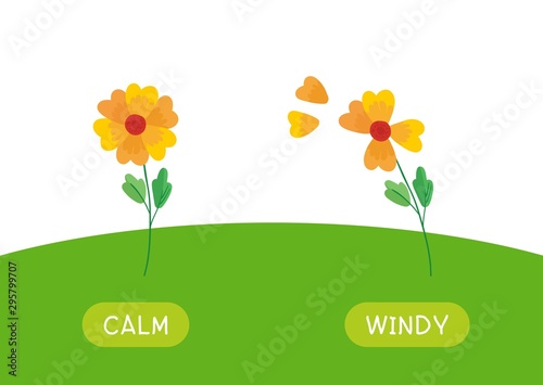Childish educational word card with antonyms template. Flashcard for english language studying. Opposites, weather concept, calm and windy. Still and swaying flowers flat illustration with typography