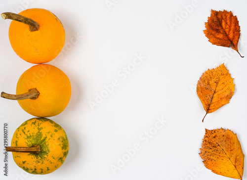 Autumn  composition  background . Vertical string of yellow  pumpkins  and  orange   leaves  on white backdrop   with  empty  center space for    text .