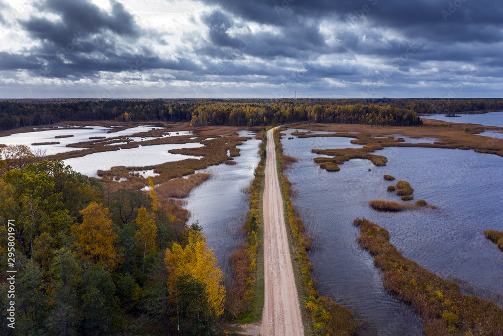 Owergrowing lake in autumn day, Kemeri National park, Latvia