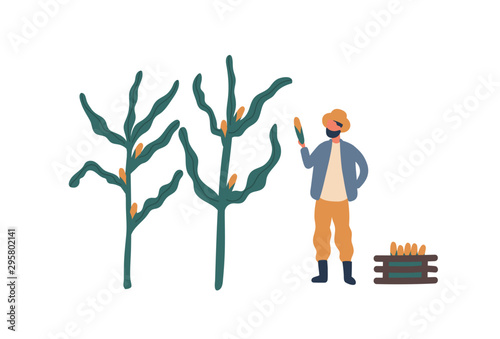 Farmer collecting corn flat vector illustration