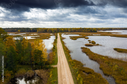 Owergrowing lake in autumn day  Kemeri National park  Latvia