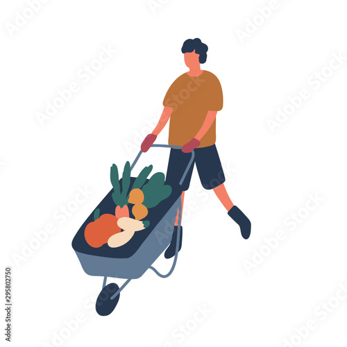 Farmer transporting vegetables flat vector illustration