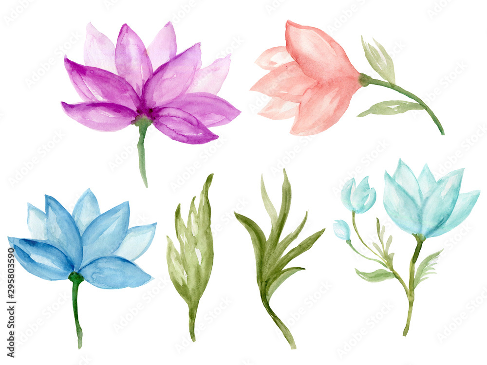Watercolor illustration lotus collection Set of wild and garden and abstract elements arrangements hand painted