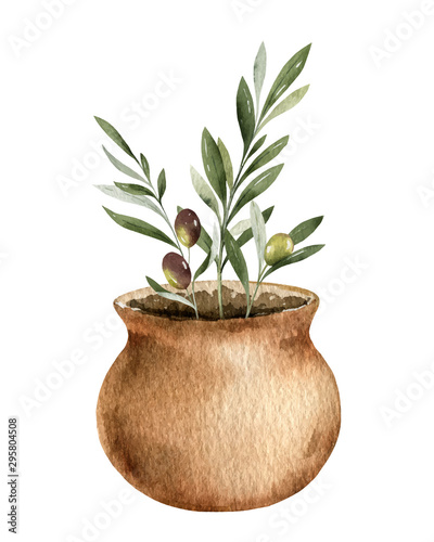 Watercolor vector card with olive branches in a ceramic pot.
