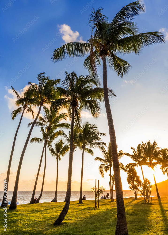palm trees on beach of Grand’Anse, Réunion Island 