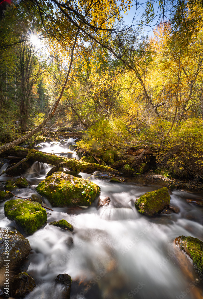 mountain river on a background of autumn trees mountain river on a background of autumn trees