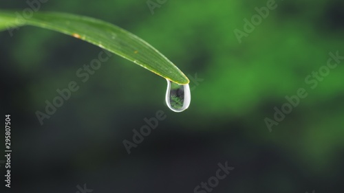 Water drop on green leaf on bokeh