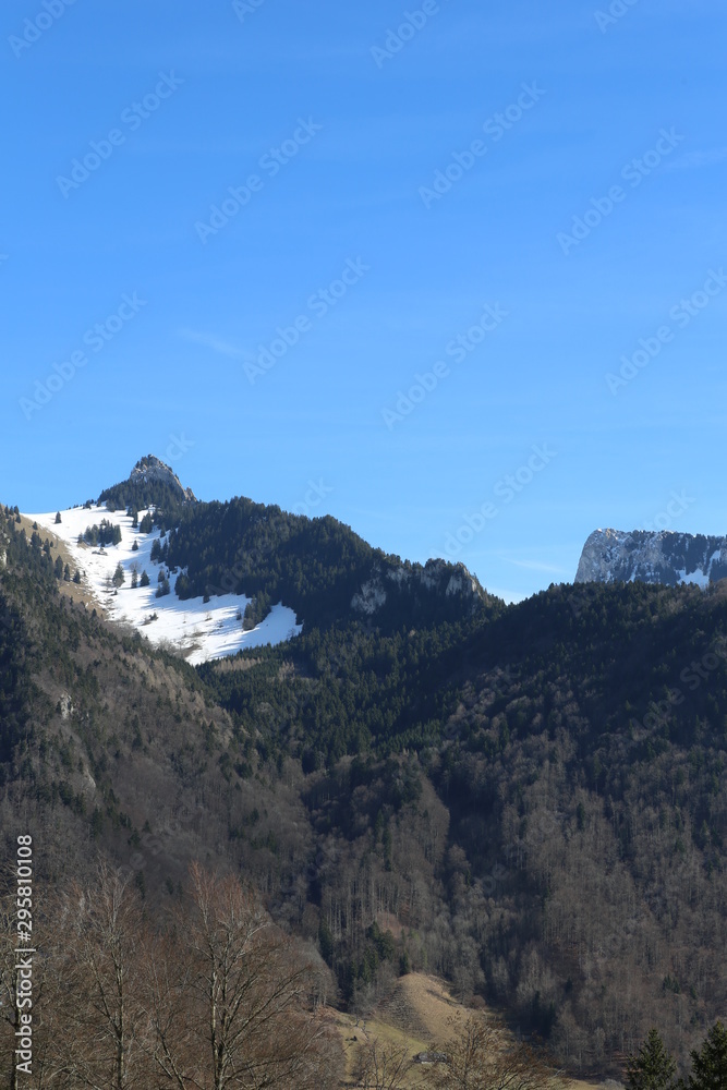 Fototapeta premium paisajes varios 