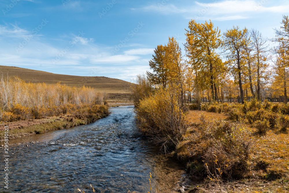 yellow autumn trees on the background of the river yellow autumn trees on the background of the river