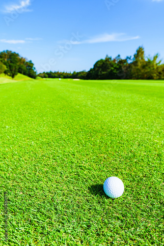 ゴルフ ゴルフボール ボール フェアウェイ ラウンド 青空 戦略 ビジネス マナー マネジメント