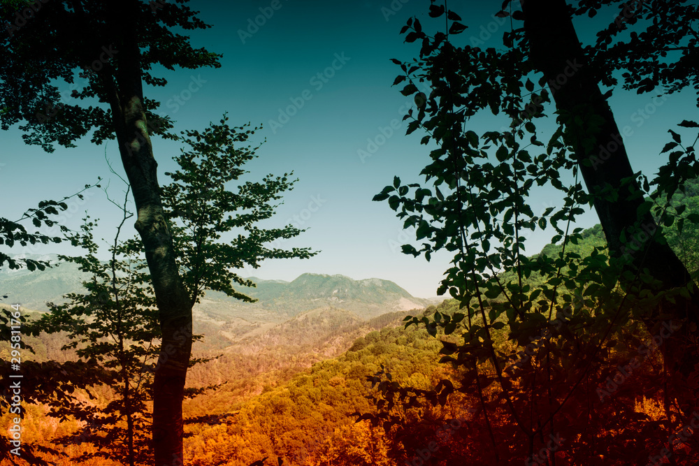 Fototapeta premium autumn hills seen through trees branches nature landscape