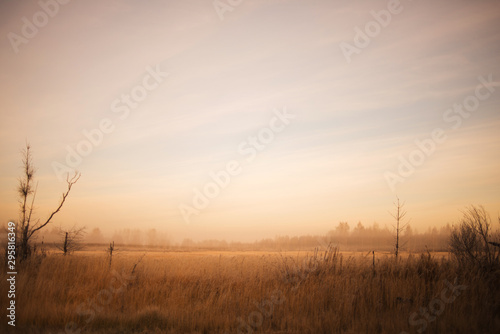 Dawn  morning in the field. Soft focus  slightly blurred. autumn landscape.
