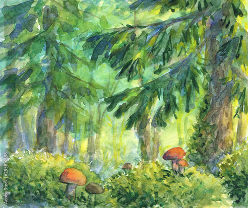 Forest watercolour landscape with mushrooms