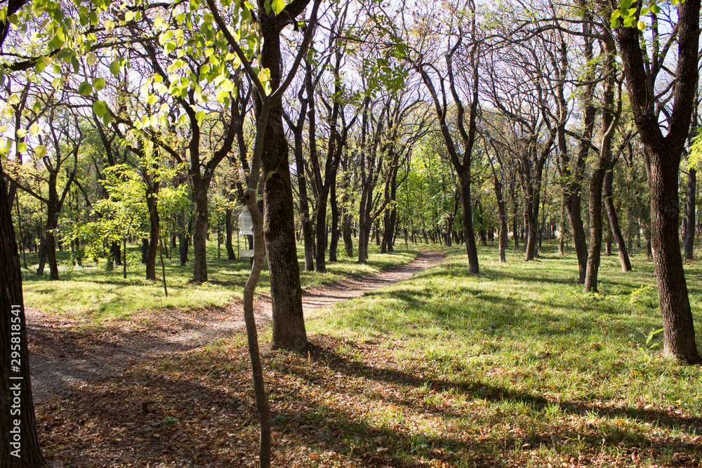 Obraz premium Yssentuki park