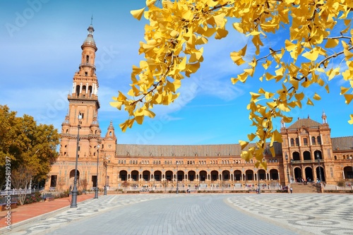 Seville, Spain. Autumn tree yellow leaves. Autumn season foliage.