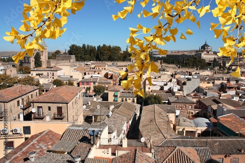 Spain - Toledo. Autumn tree yellow leaves. Autumn season foliage.