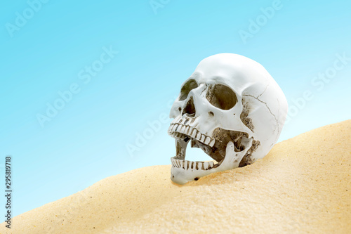 Human skull on the sand © Leo Lintang