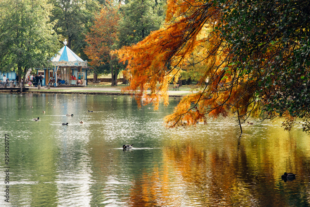 lac en automne avec un manège à Beaune La bouzaise